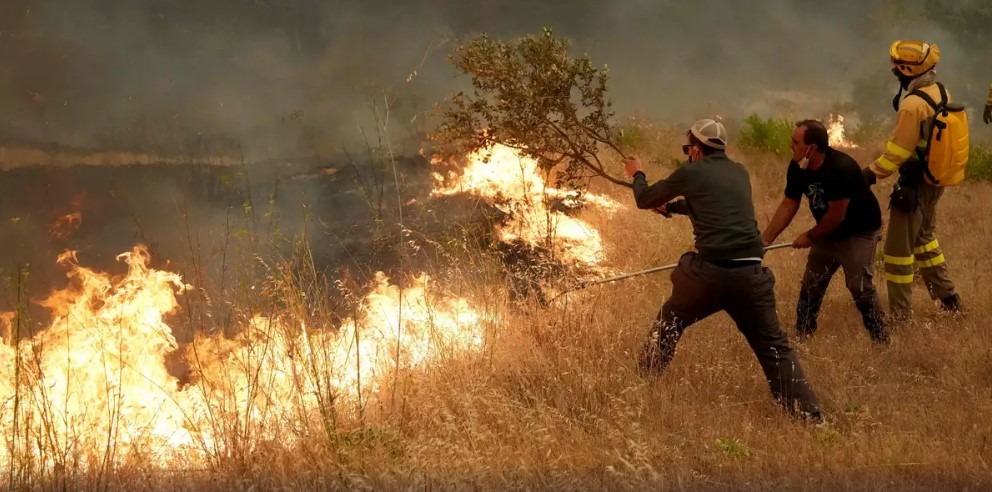 Record wildfires in Spain, France force thousands to flee