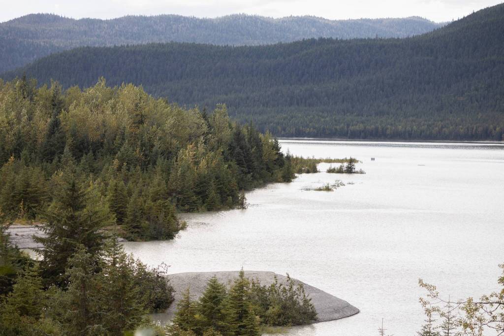 Trees standing in water on the flooded shore of Mendenhall lake are pictured from the Mendenhall Glacier Visitor’s Center on Sept. 15, 2025. (Chloe Anderson for the Juneau Empire)