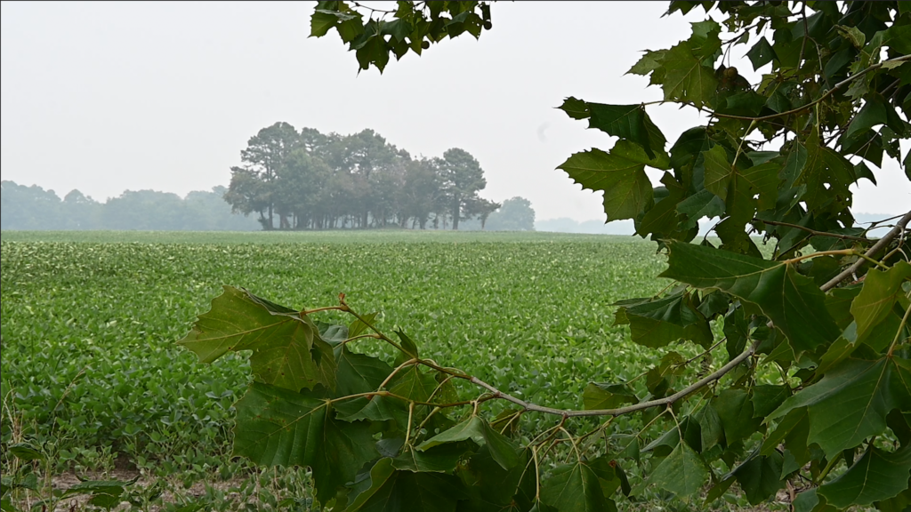 Residents gearing for fight against proposed surface mine