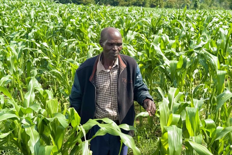 Running on empty: How the gulf war is threatening Kenya’s food security