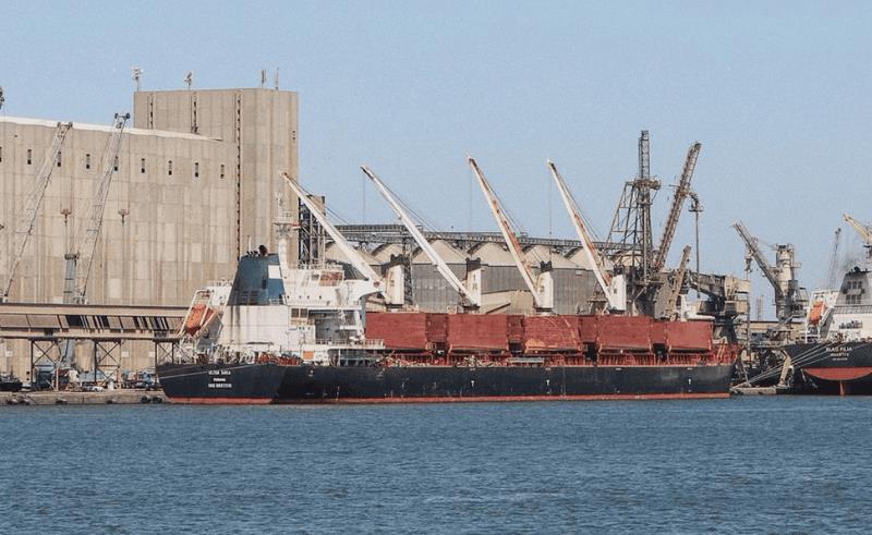 SIS monitors foreign media coverage of Damietta Port incident, urges reliance on official sources