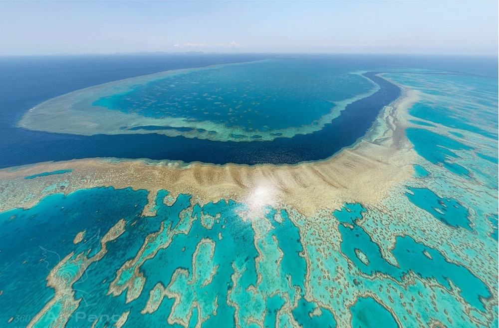 Scientists warn of Great Barrier Reef collapse risk amid severe coral bleaching