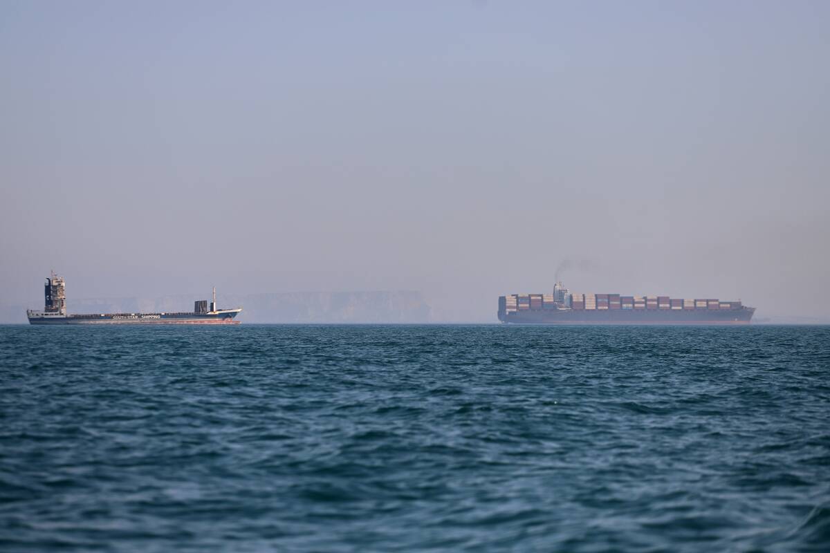 A container ship, right, and a cargo vessel are seen in the Strait of Hormuz off Bandar Abbas, ...
