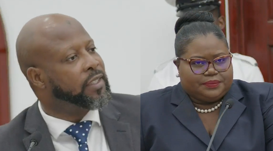 Senators praise, critique daily paid workers Gratuity Bill