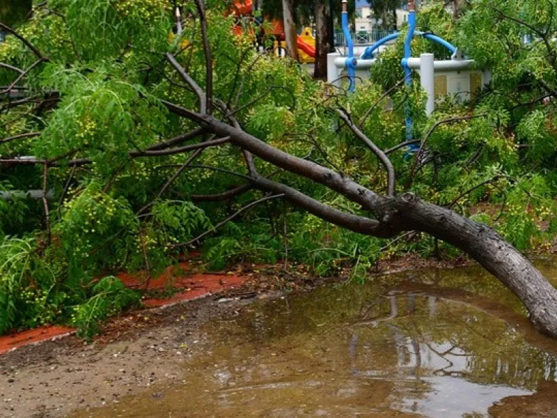 Severe weather strikes Corfu causing power outages, problems in water supply