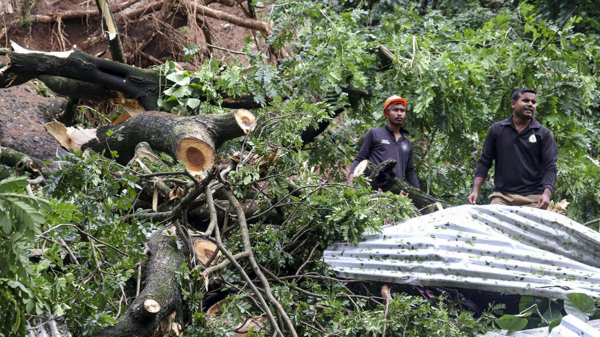 Six killed in floods, landslips in Northeast