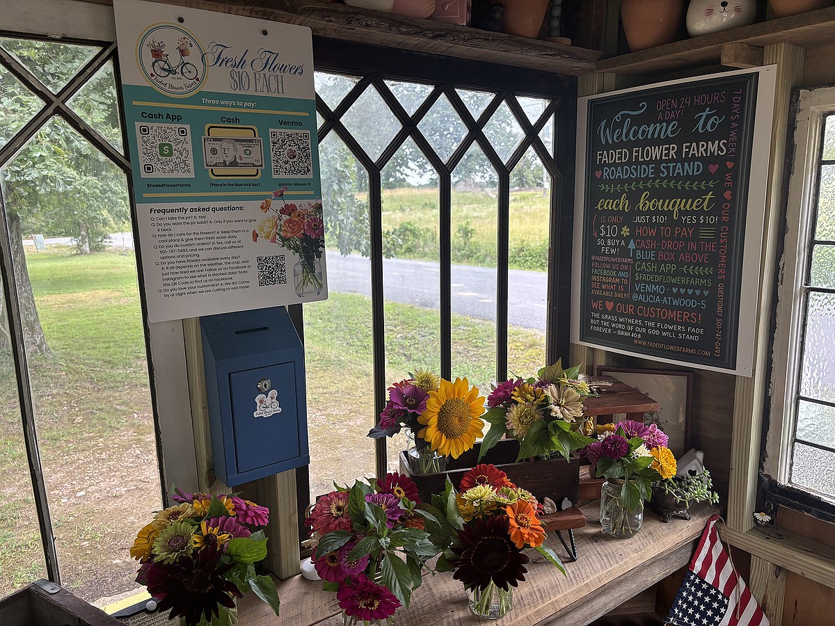 Small flower farm’s business springs from a seed of trust | The Arkansas Democrat-Gazette