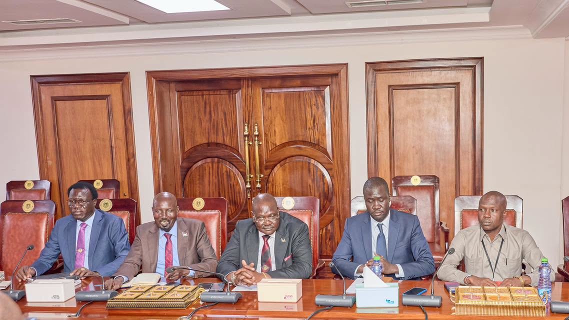 South Sudan begins enforcing controversial Cybercrime Act amid free speech concerns