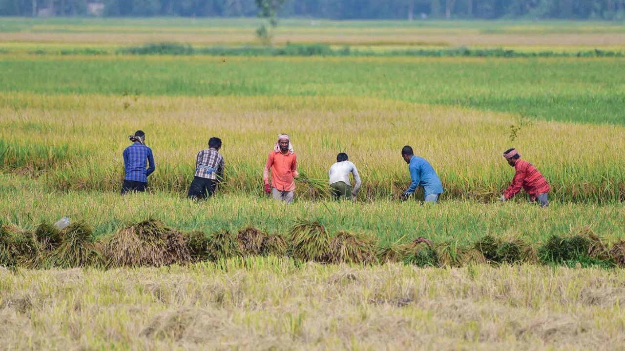 Southwest Monsoon India: Weak rains could dent farm incomes, consumption and inflation outlook: S&P