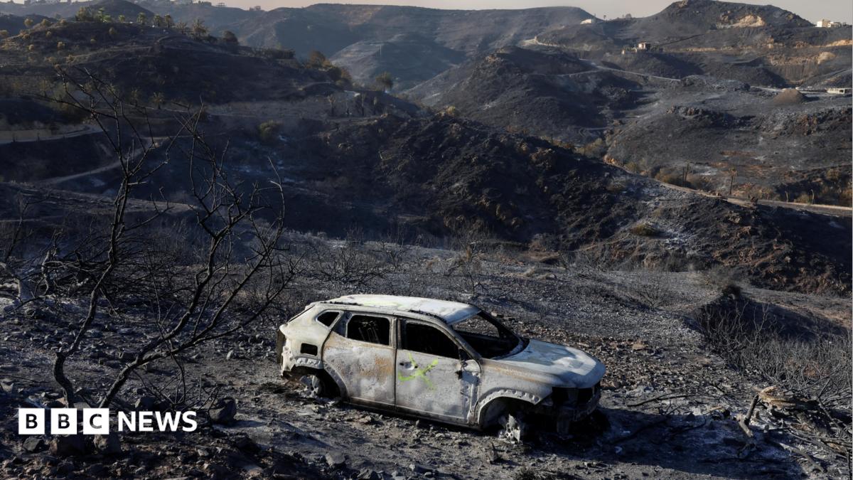 A care destroyed by fire sits among burnt vegetation during deadly wildfires affecting Almeria province