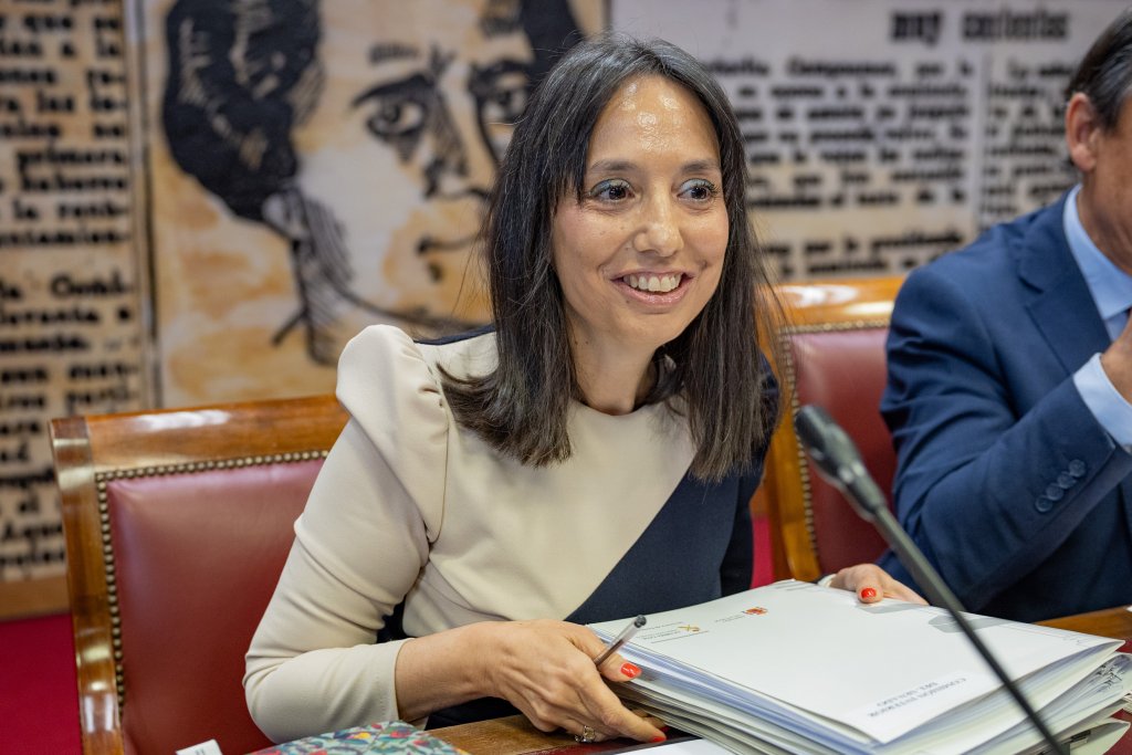 Spanish judge to question Guardia Civil chief and deputy over meetings with PSOE activist
