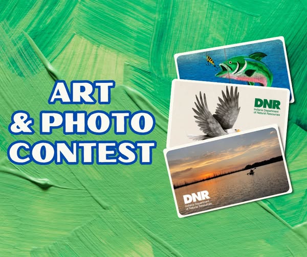Submit wildlife art for DNR hard card licenses - Indianapolis News | Indiana Weather | Indiana Traffic