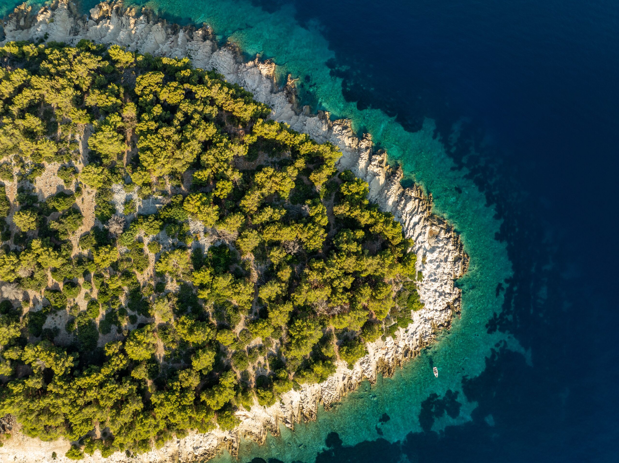 Svetac: The Remote Island Where History and Nature Meet