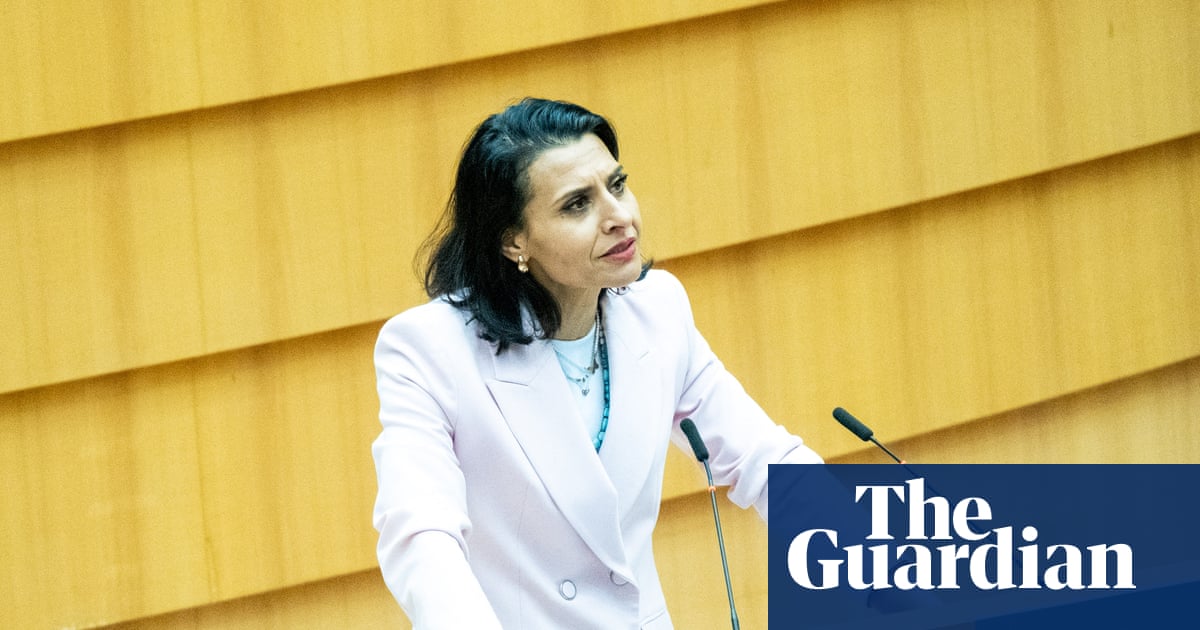 Swedish MEP files police complaint accusing Danish colleague of racist hate speech | European Union