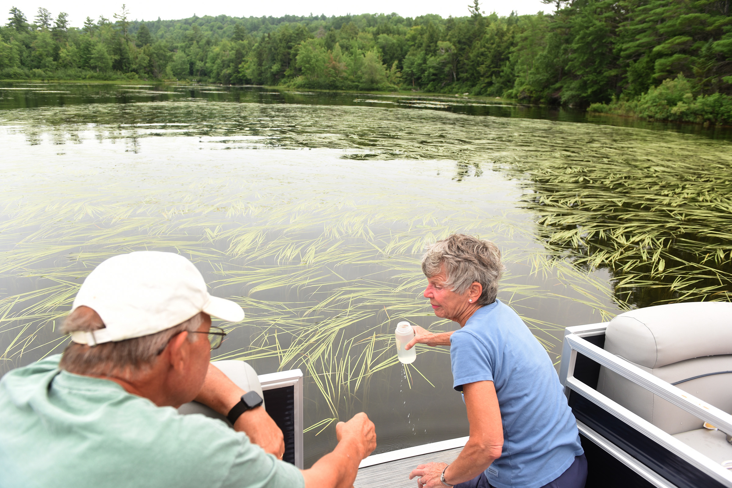 Tackling a 'puzzling' problem on Pleasant Lake