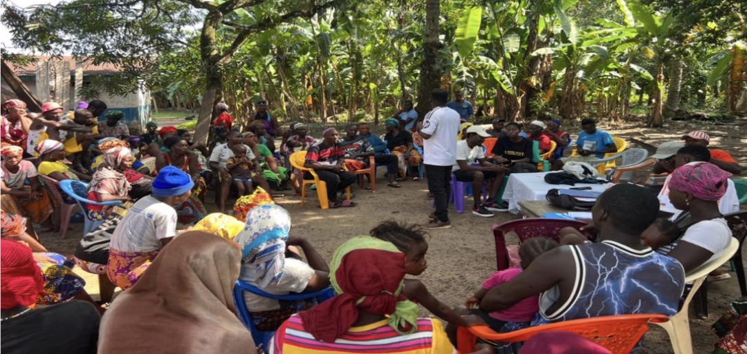 Tacugama mitigates deforestation in Western Area Peninsula