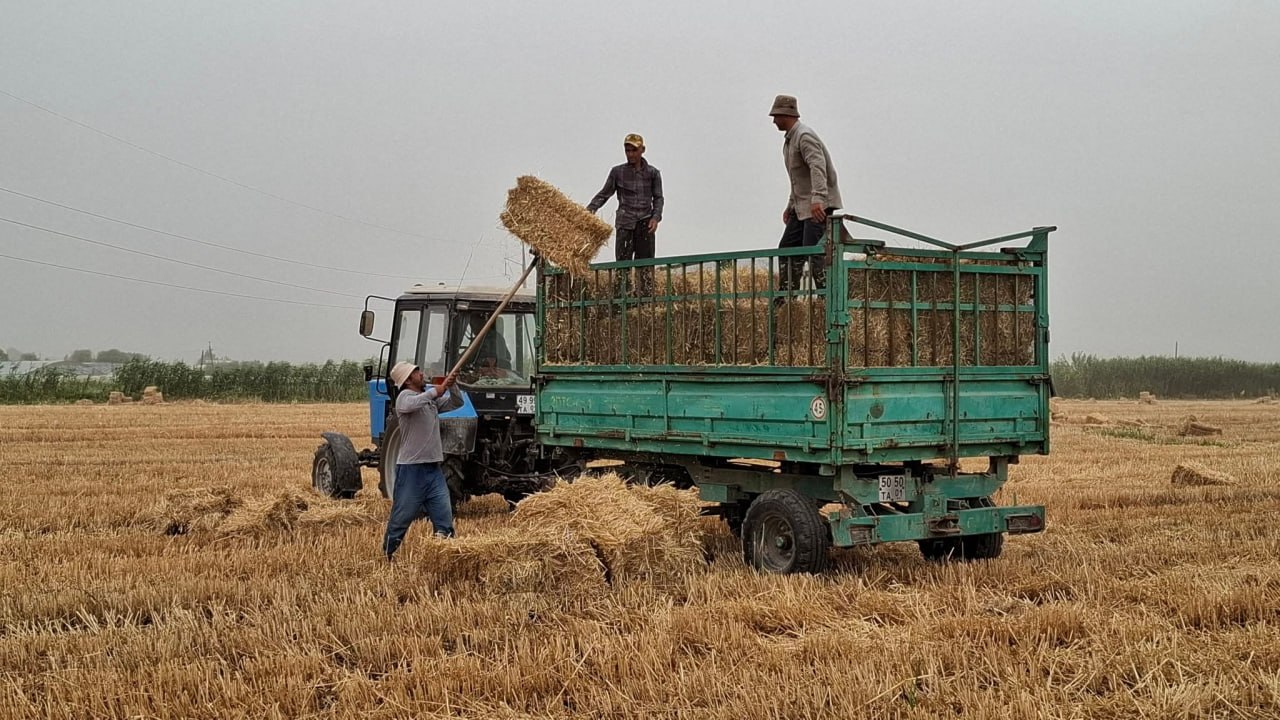 Tajik authorities offer farmers diesel at 13 somoni and seek new supplies from Iraq