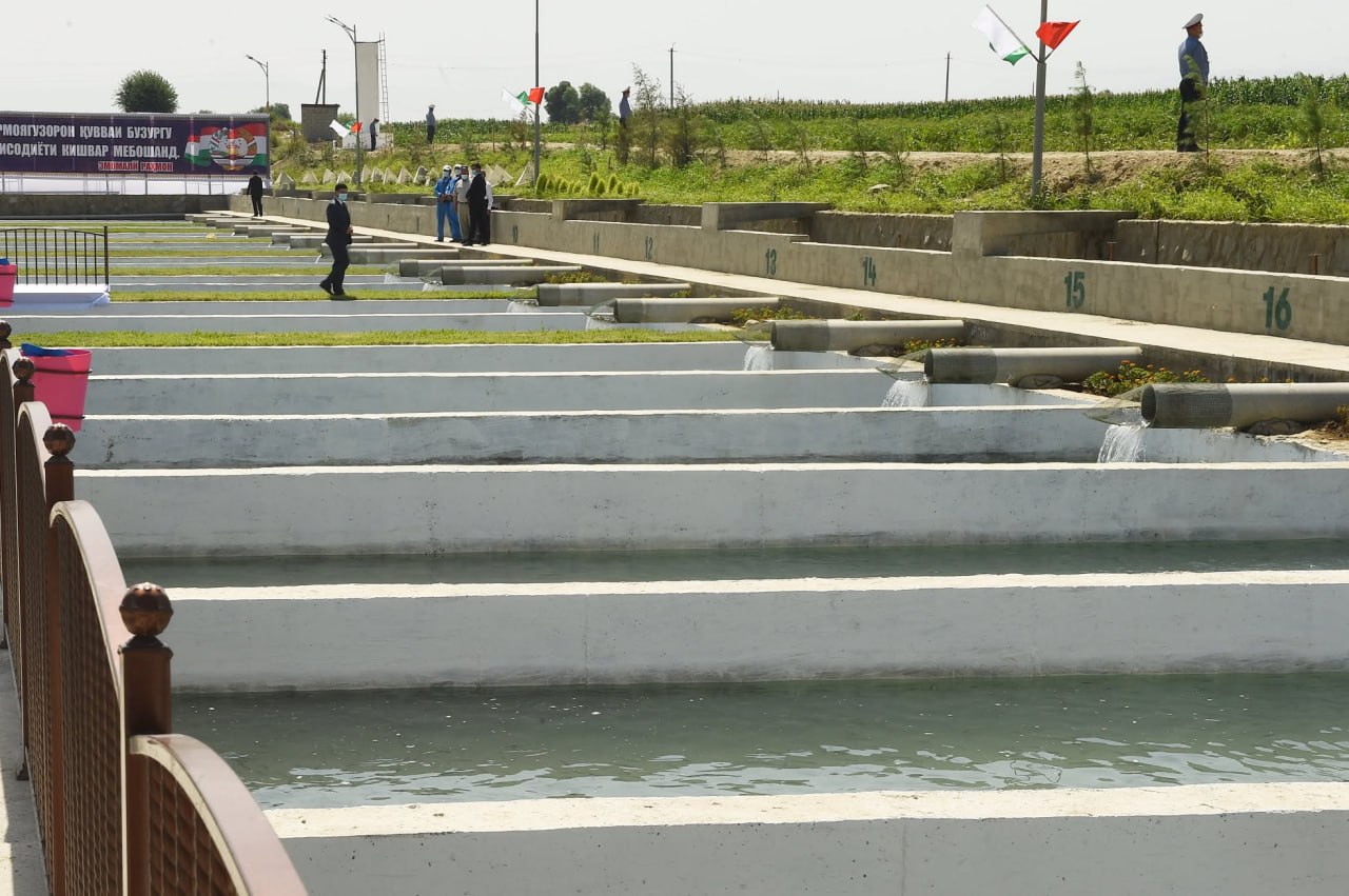 Tajikistan imported more than twice its domestic fish output in first half of 2026