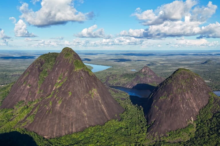 Ten years of Mongabay Latam