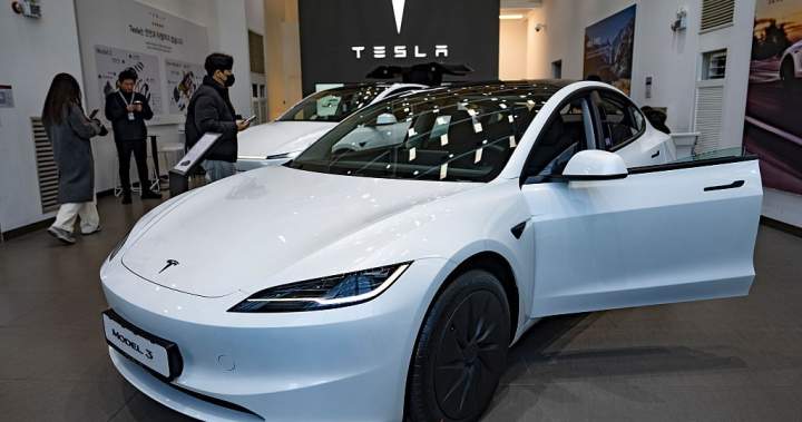 Tesla driver charged with manslaughter over crash into Texas home - National