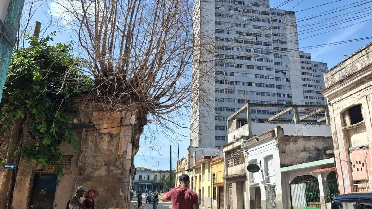 The Blackout Lunatics of Havana, Cuba