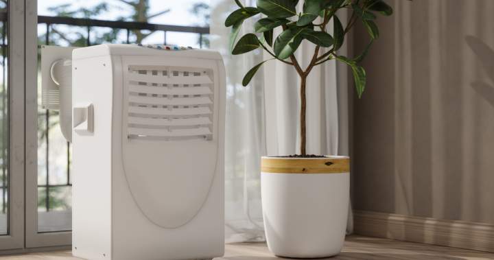 The Curator: Best portable air conditioners to beat the summer heat - National