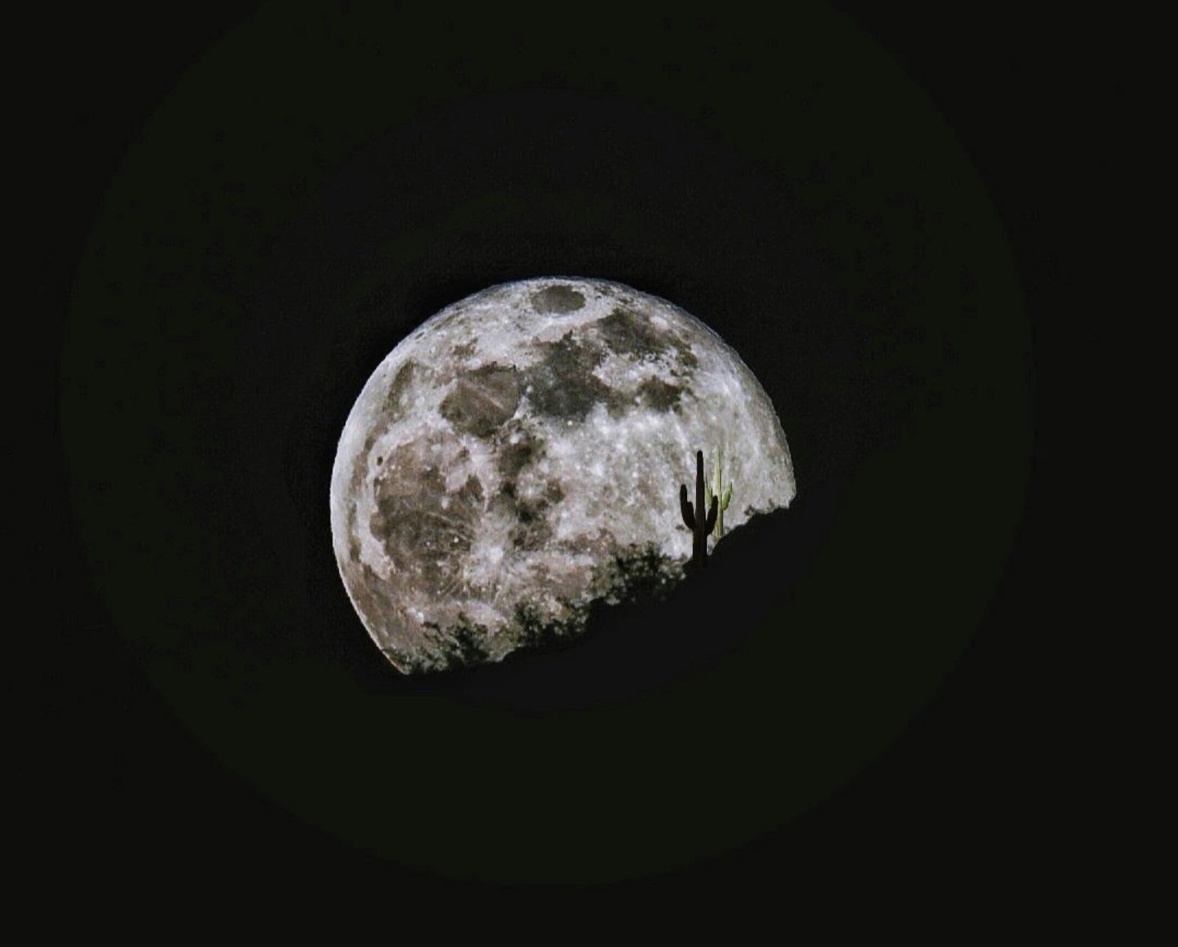 The Deer Full Moon lights up the skies over Portugal