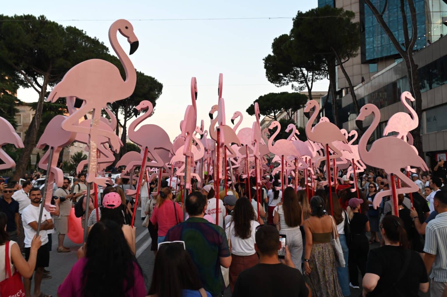The Digital Front of Albania’s ‘Flamingo Revolution’