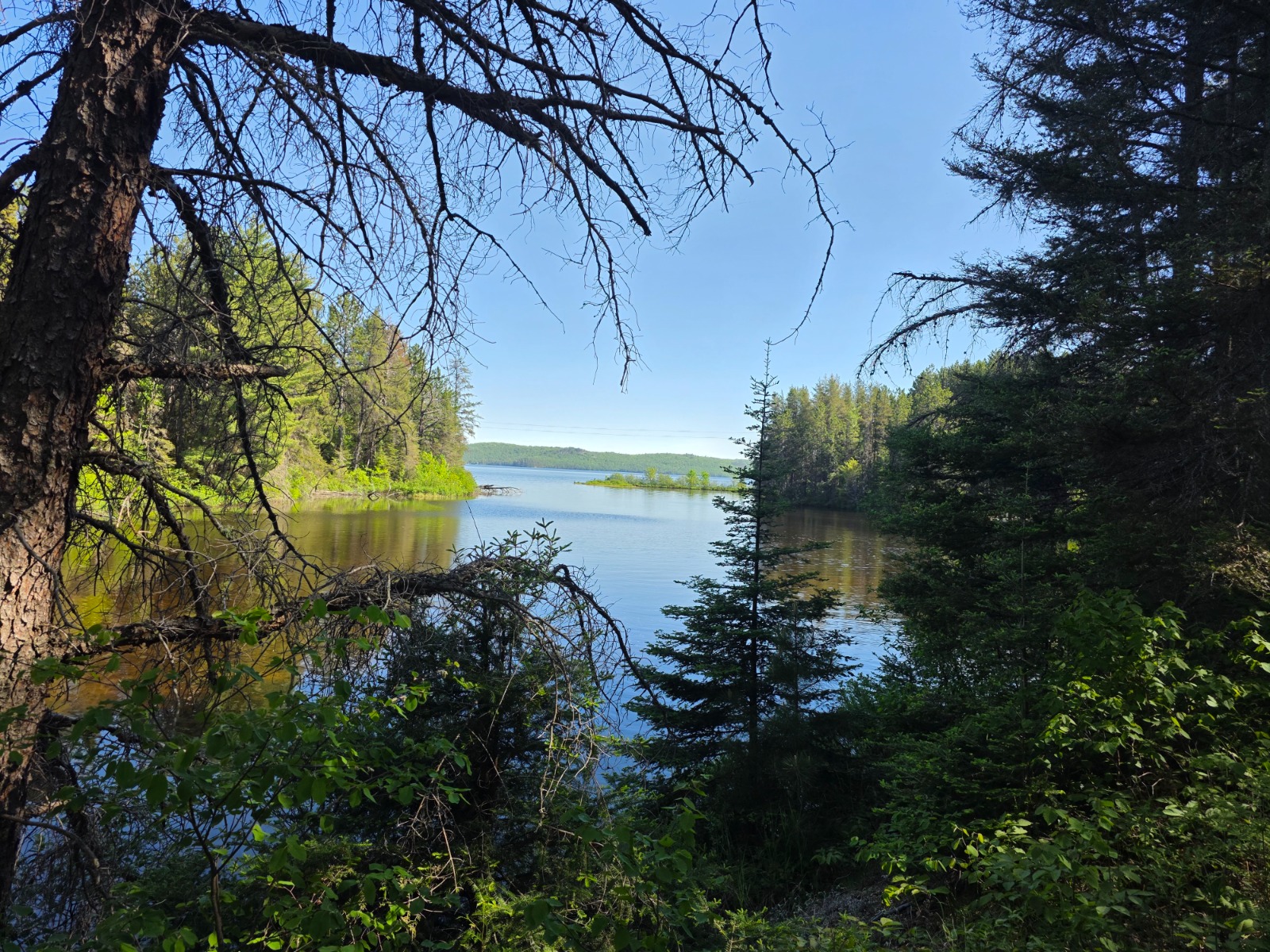 The Forrest at Windy Lake, Ontario, Canada - Photo of the Day