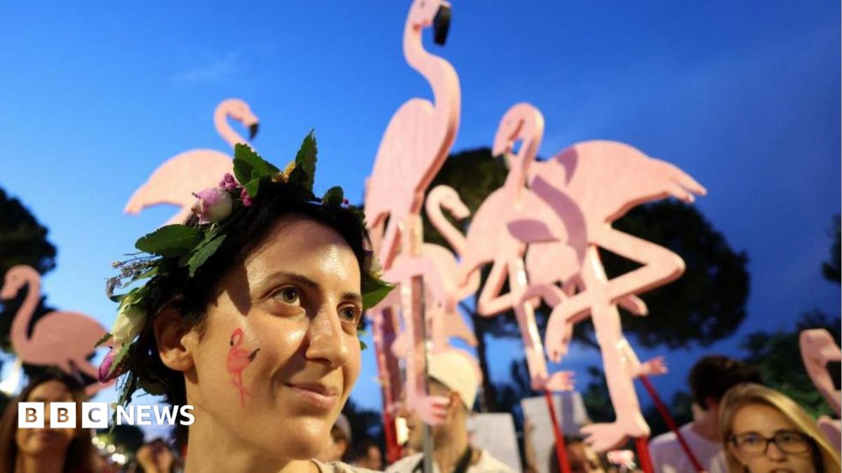A man carries a large home-made puppet of a pink flamingo, flying above his head in a crowd of people protesting.