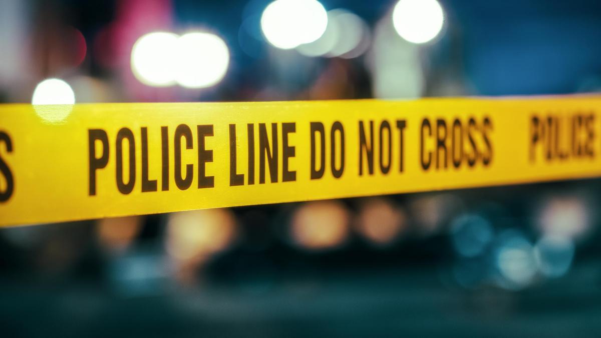 Three more held in Bengal lynching case