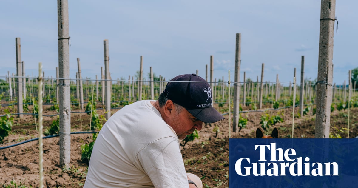 To make wine is to believe in the future: the Ukrainians growing grapes on the frontline | Ukraine