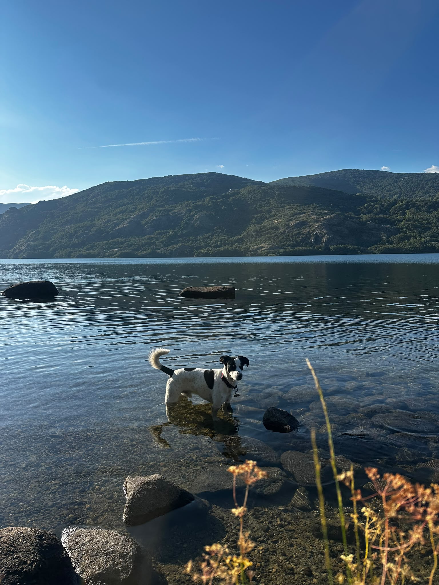 Tony in the Lake, Salamanca, Spain - Photo of the Day
