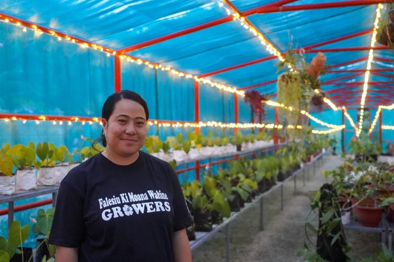 Tourism graduate grows thriving vanilla farm and inspires women in Tonga
