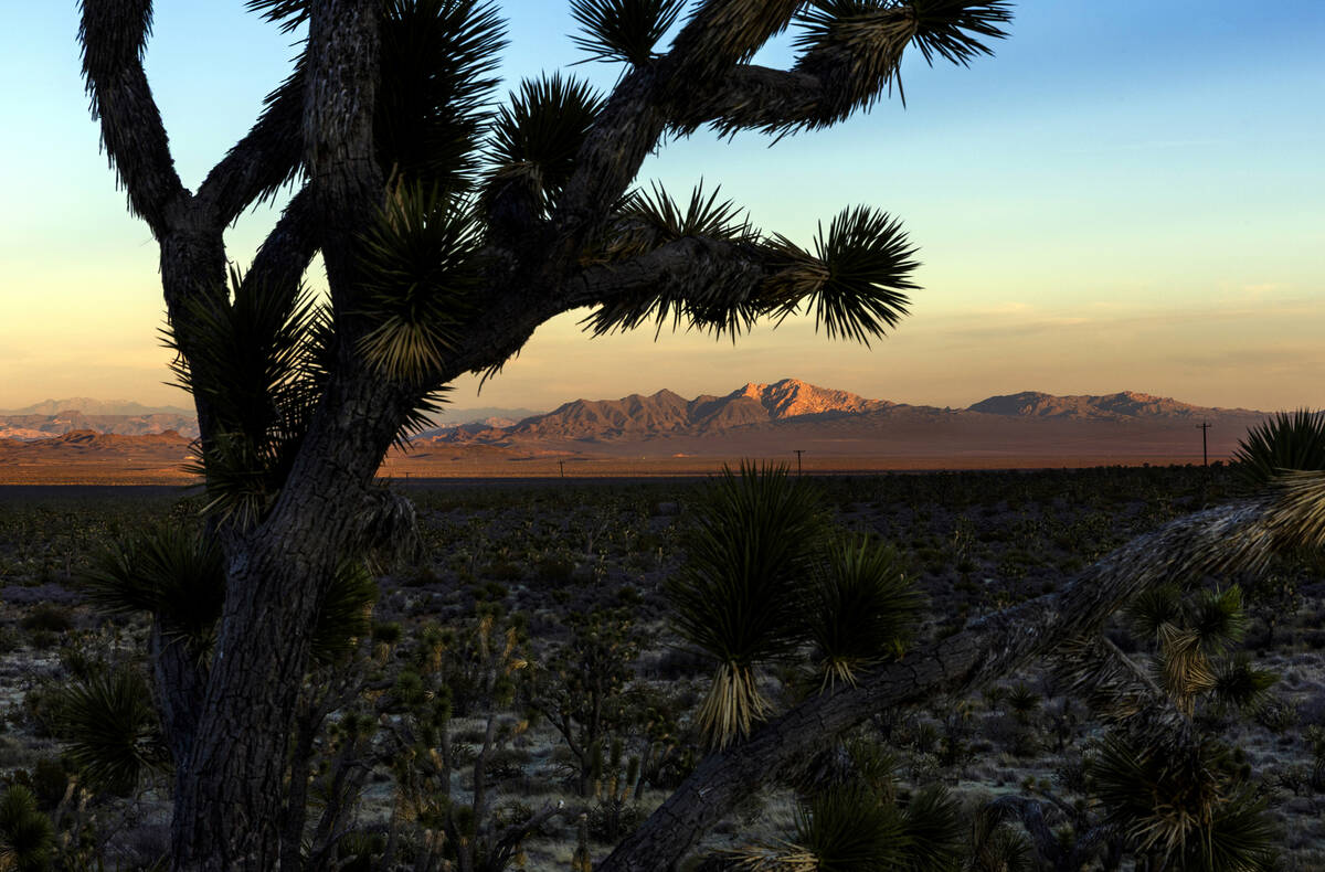 The last of the day's sun catches the peak of Spirit Mountain within the Avi Kwa Ame propo ...