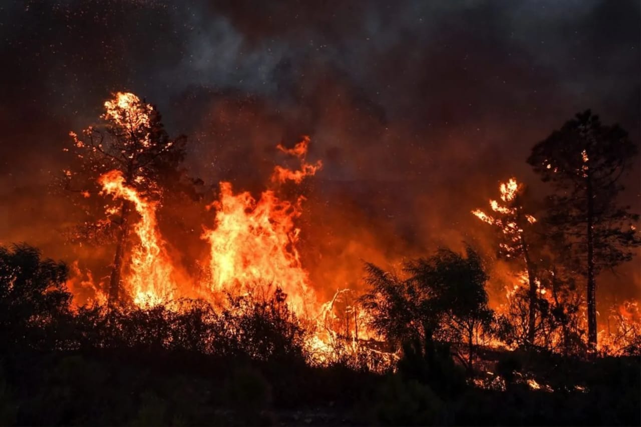 Tunisia battles over 900 fires as heatwave grips country