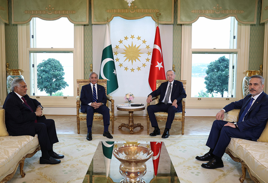 Turkish President Erdogan receives Pakistani premier in Istanbul
