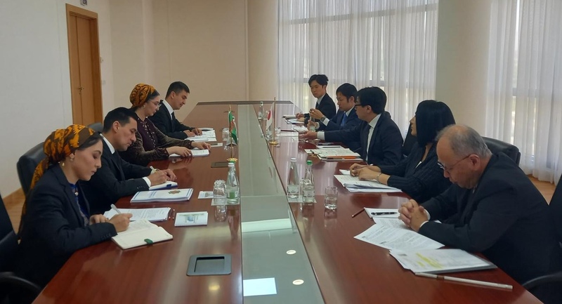 Turkmenistan and Japan hold political consultations