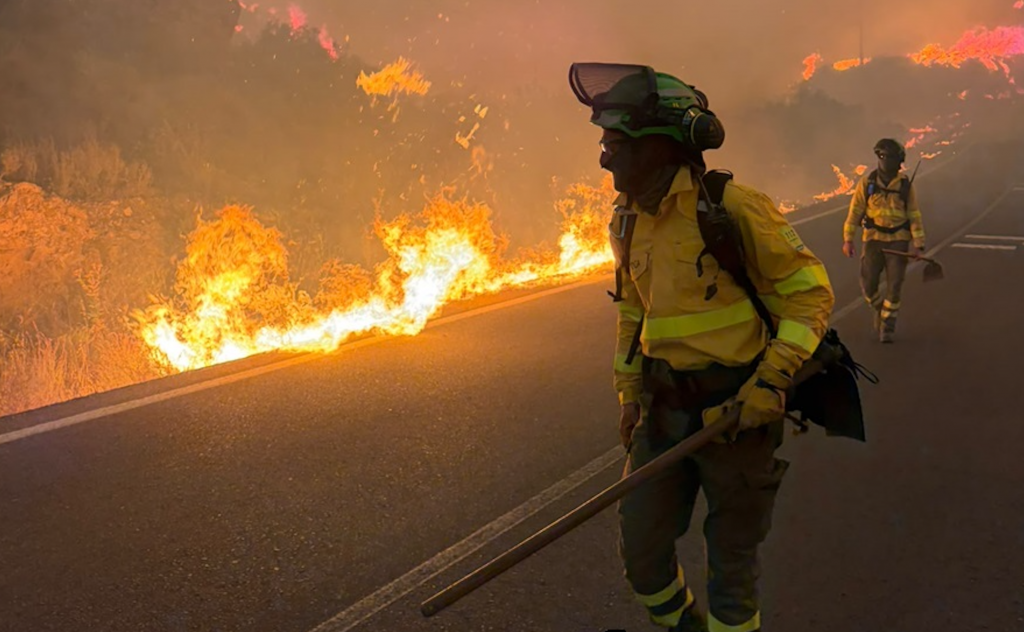 Twelve killed as devastating wildfire tears through southern Spain during heatwave
