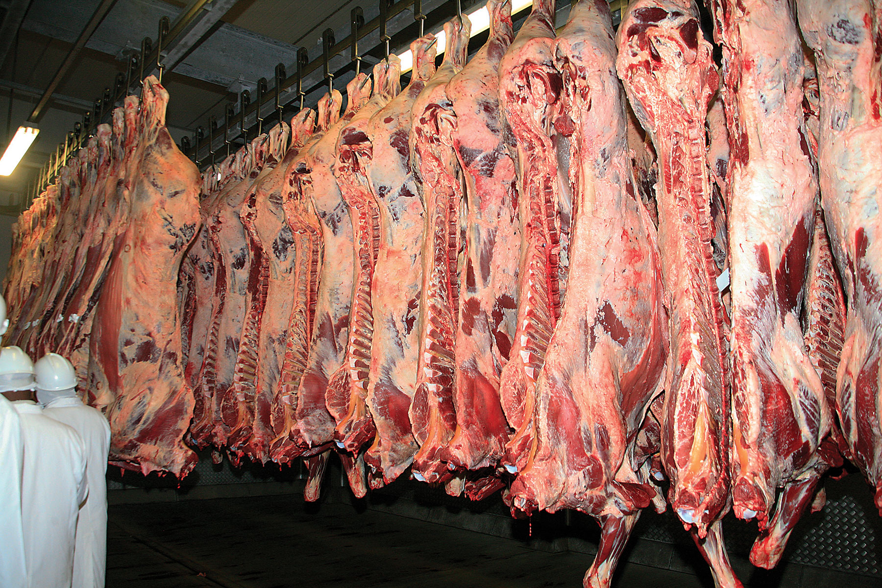 Two-month BMC payment delays test Boko’s beef reforms