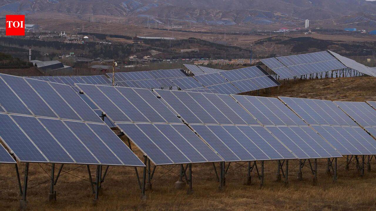 Two solar farms in Minnesota restored native wildflowers and proved beneficial for bees, butterflies proving to scientists what everyone got wrong