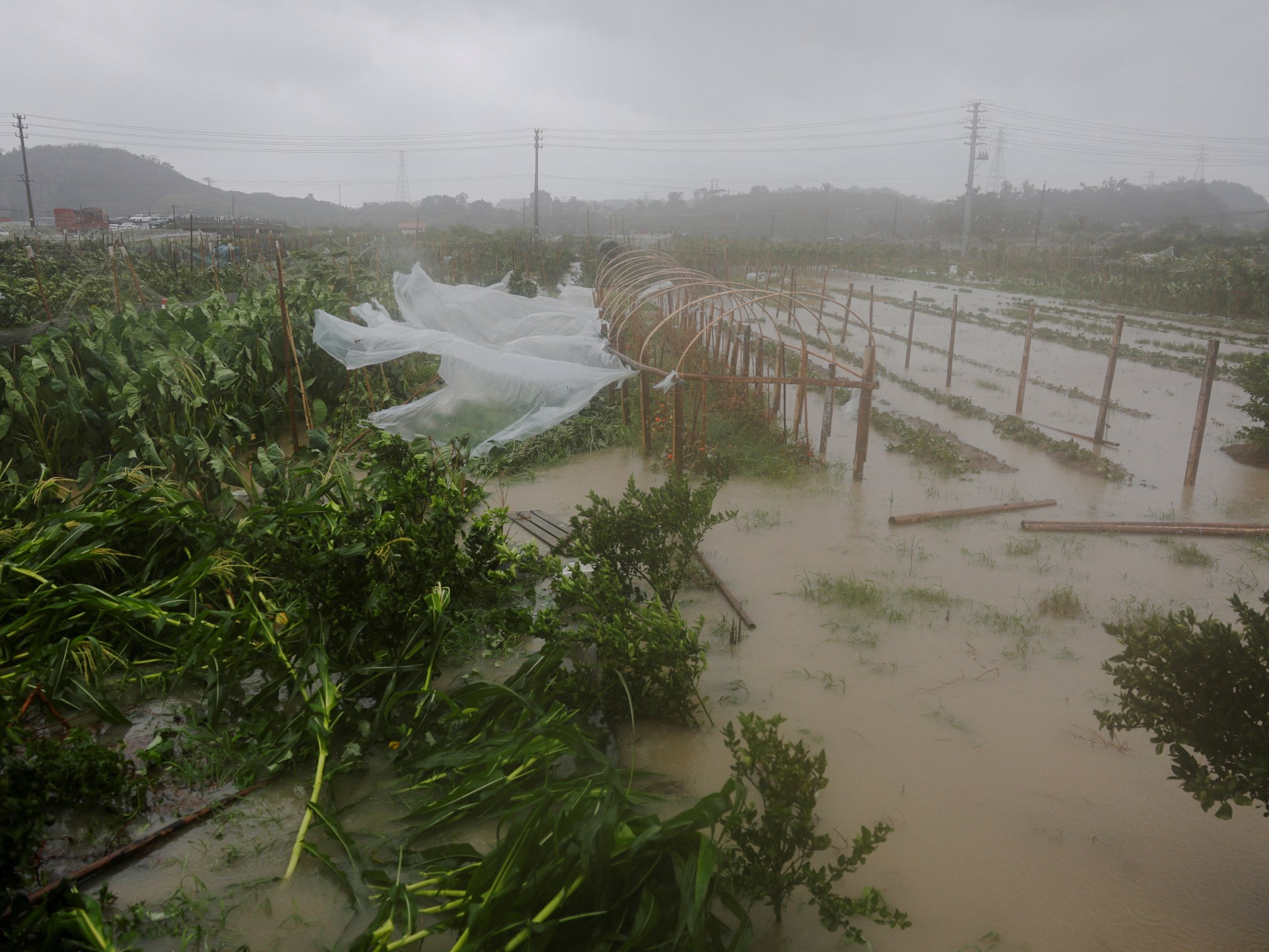 Typhoon Bavi weakens to tropical storm as it slams into eastern China | Weather News