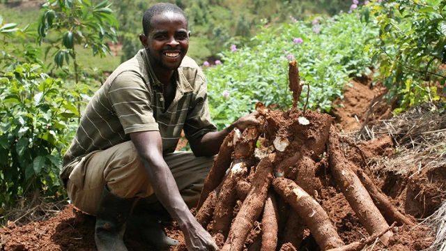 Uganda's food surplus must start paying its farmers