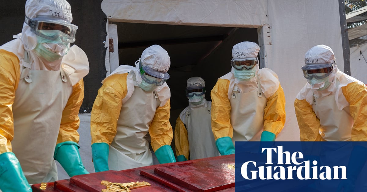 Understanding Ebola’s wildlife origins is crucial to preventing next big outbreak | Environment