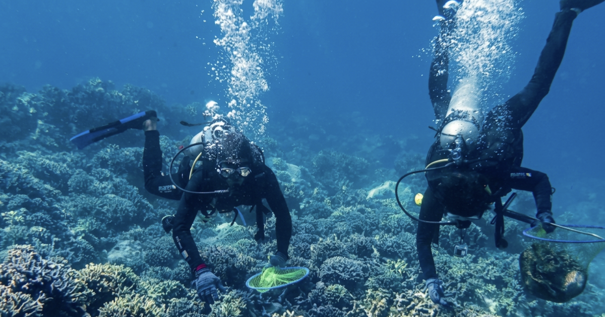 Vietnam's Khanh Hoa orders tougher coral protection after tourists damage reef