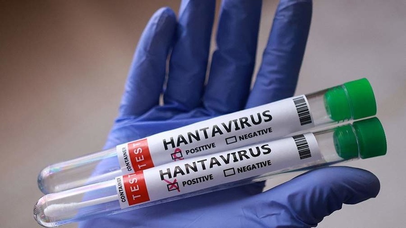 WHO declares end of hantavirus outbreak on cruise ship