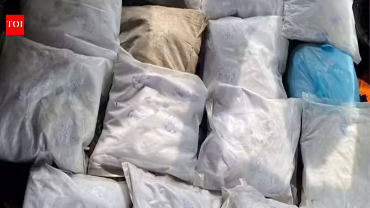 'Were to be paid $5,000-$10,000': Texas couple, 80 and 74, arrested after 345-pound cocaine bust at border