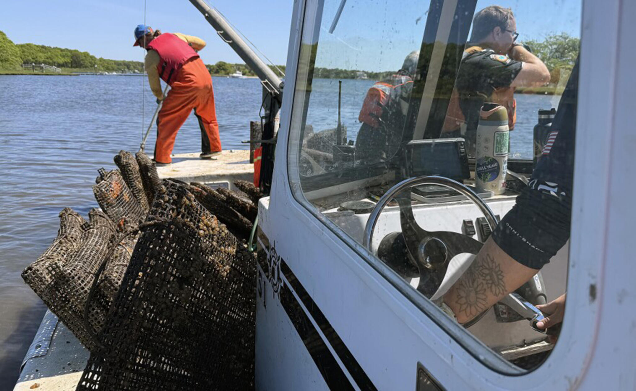 Dan Goulart, coastal program manager for The Nature Conservancy in Massachusetts, rakes out piles of oysters freshly deposited onto the reef. (Amy Kolb Noyes/CAI)