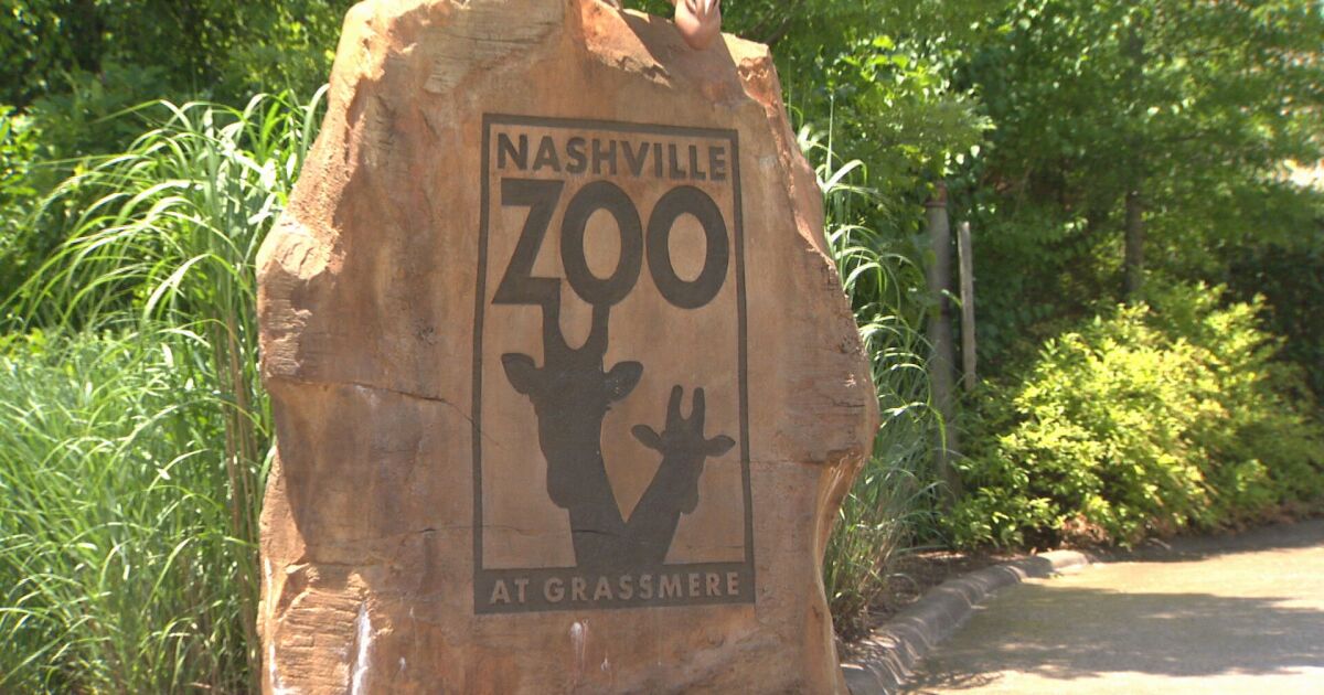 What Nashville's new data center rules mean for the zoo-area project