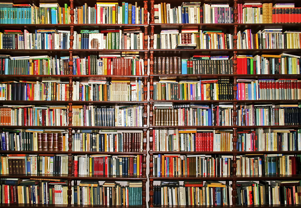 What books to take for your summer holiday